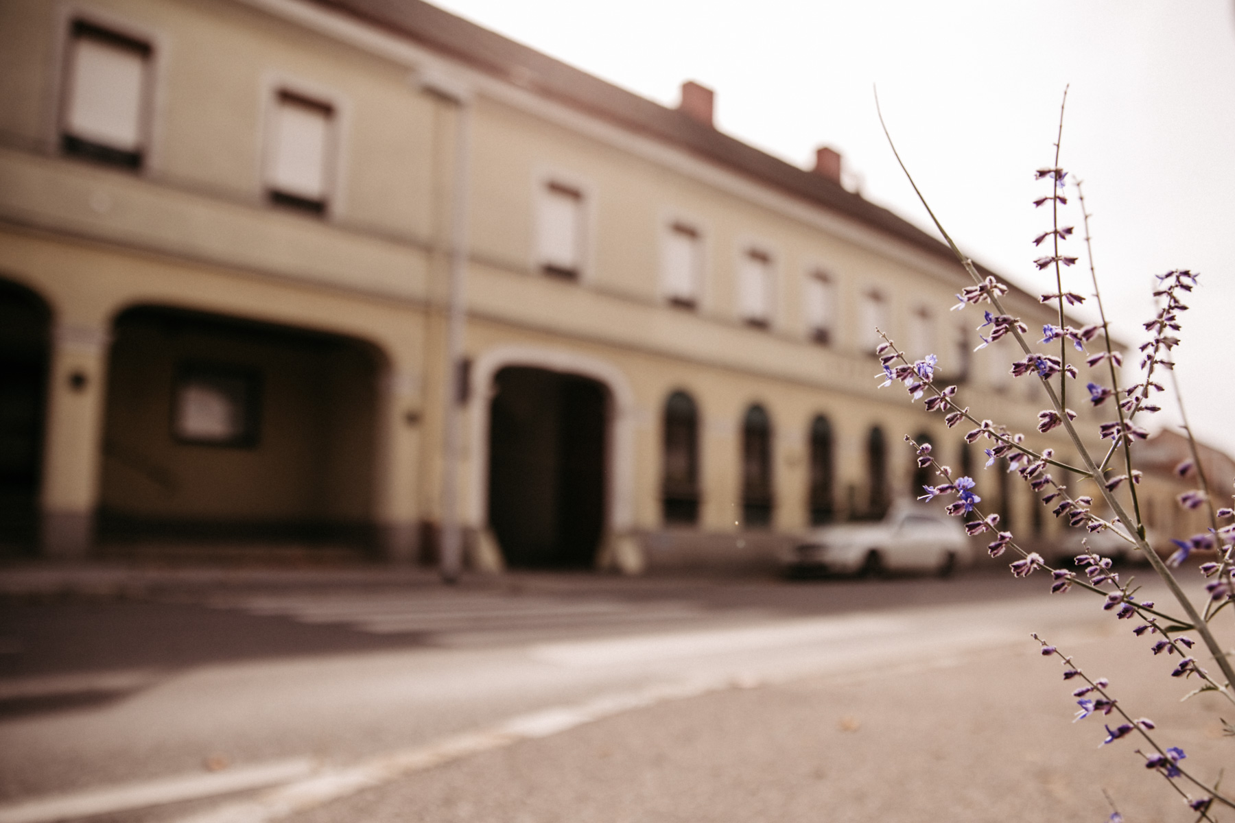 The flagship businesses of KEM-Carnuntum - Gasthof zum Heidentor