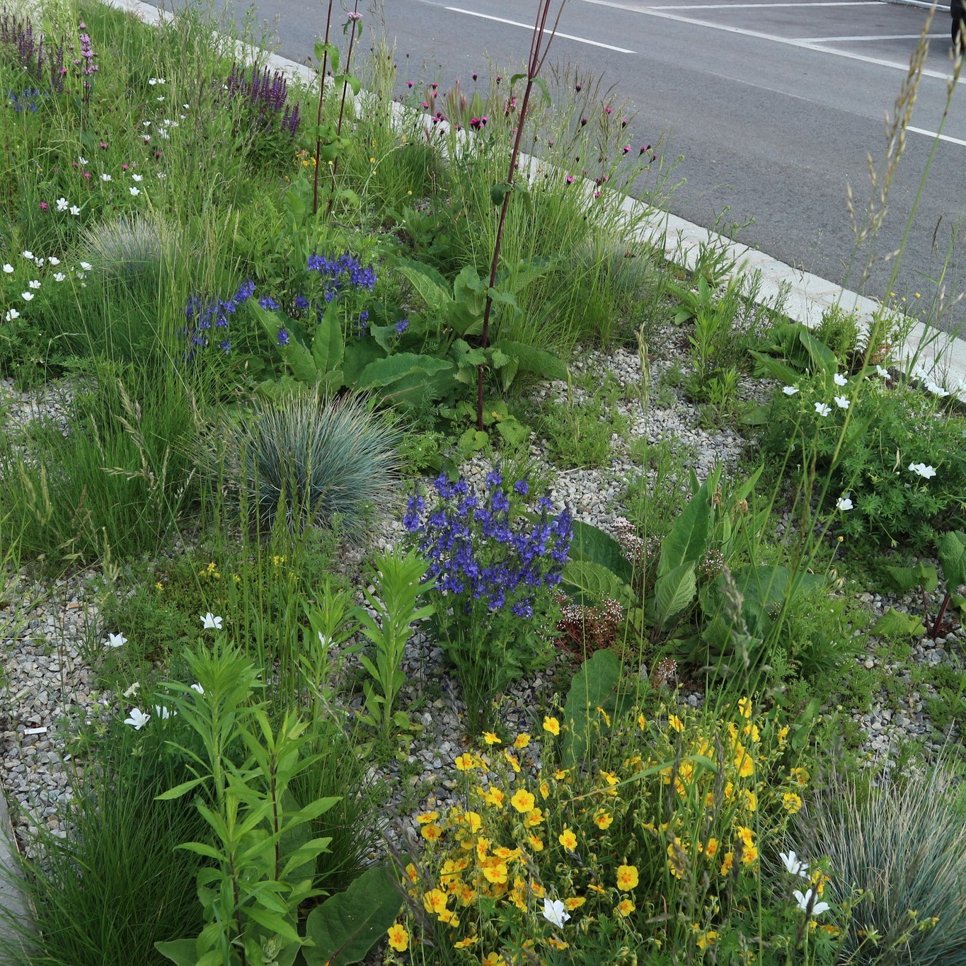 Grünraumspaziergang in Bruck/Leitha