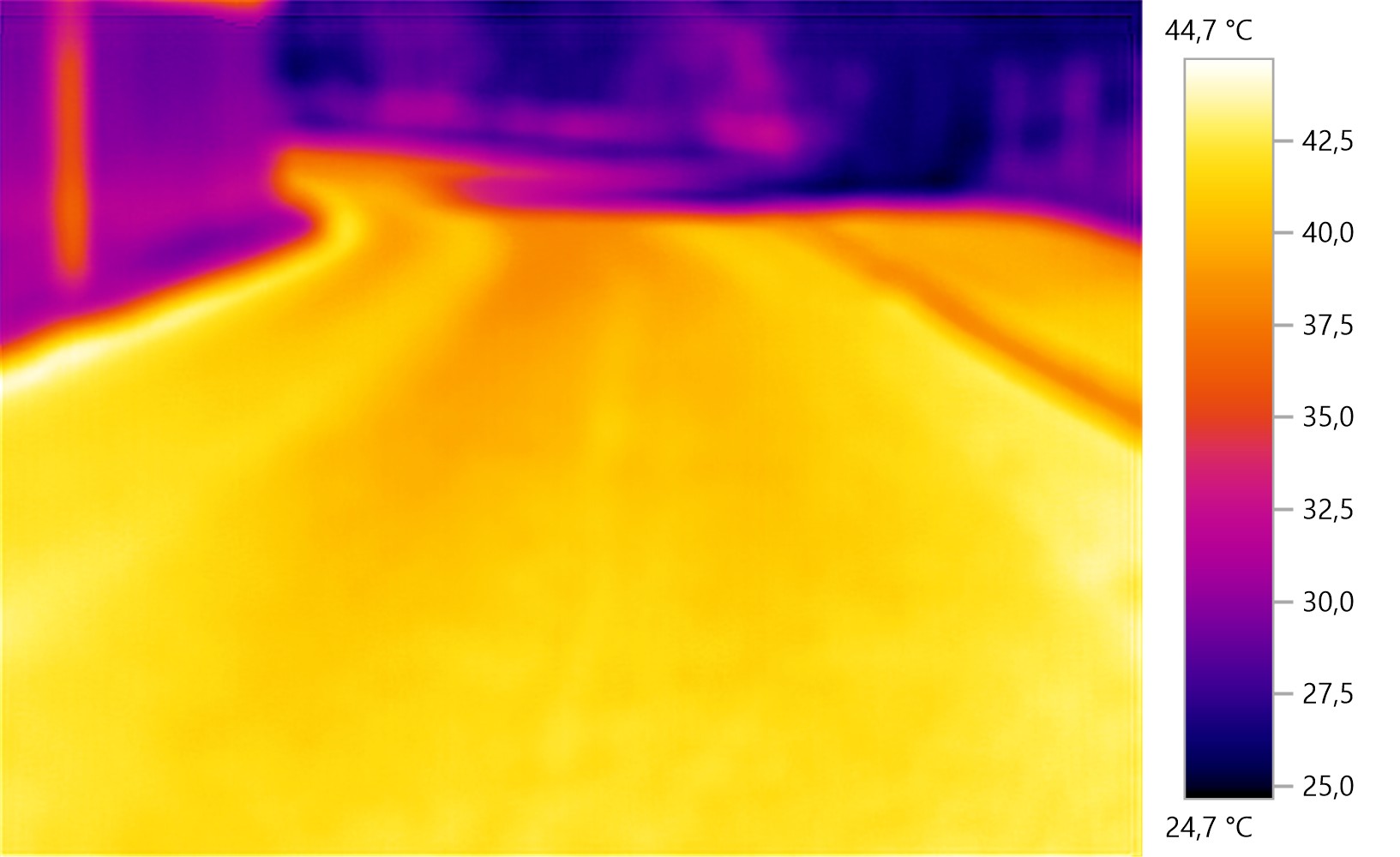 Termografia ukazuje: Stromy ako prirodzená klimatizácia!